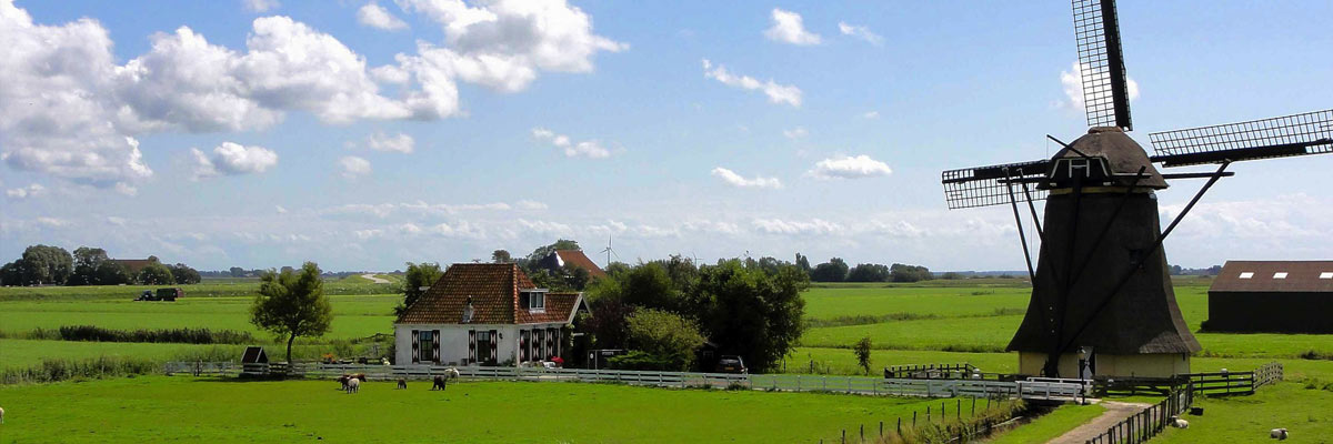 Windmolen en plattelandshuisje in Nederland met zeer groen gras